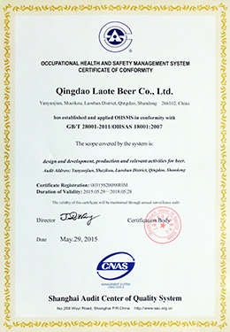2015 Occupational Health and Safety Management System Certification in English