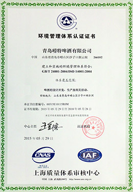 2015年环境管理体系认证证书中文