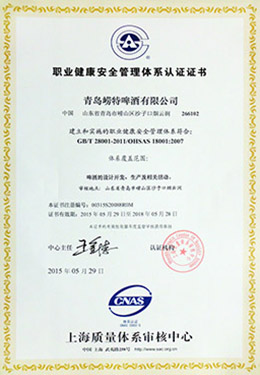 2015年职业健康安全管理体系认证证书中文